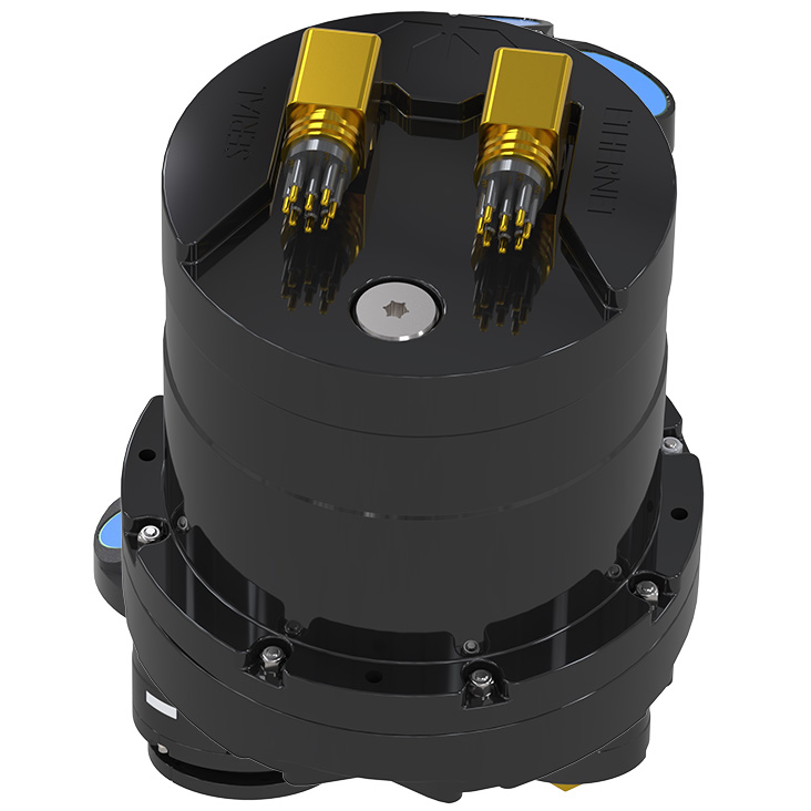 RDI Workhorse Proteus back